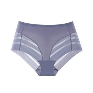 ice silk mid waist mesh lace briefs