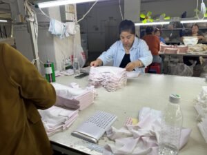 inspeciton (4)