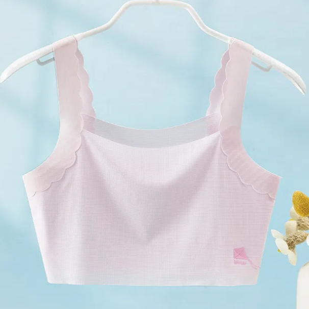 traceless bra (3)